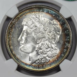 1881 - S Morgan Dollar NGC MS64 CAC PQ rainbow rim toned 3