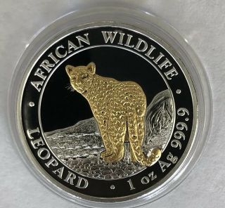 LEOPARD African Wildlife 1 oz.  999 Silver Gold Gilded Coin Somalia 2018 2