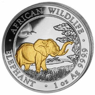 2019 Elephant 1 Oz Silver Gold Gilded Coin Somalia