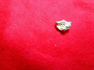 Crystallized Gold Nugget from the American River 0.  8 Grams 2