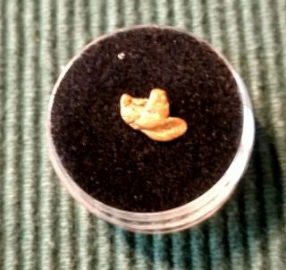 Natural Mariposa,  California.  9 Gram Gold Nugget Bullion