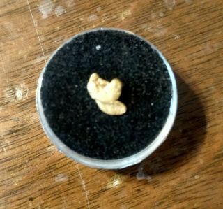 Natural Mariposa,  California.  9 Gram Gold Nugget Bullion 2