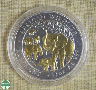 2008 Somalia 100 Shillings Silver Coin W/ Gold Gilt - Elephant - 1 Oz 999 Silver