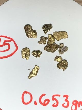Lovely Group 0.  663 Gram Gold Nuggets Collectors Specimens Colorado