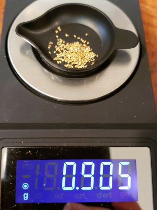 Gold Nuggets 0.  905 Grams 92 22k Alaska Natural 18=20 Mesh ❤ ❤