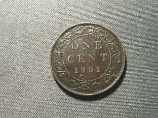 1901 Canada Large Cent Old Copper Penny - Queen Victoria - Shape