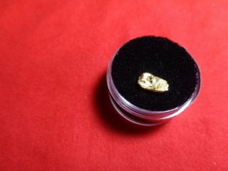 Gold Nugget From The American River 0.  9 Grams