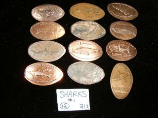 12 Sharks Themed Elongated Coin Rolled Pressed Smashed Pennies (213 - 1)