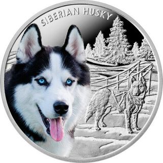 Niue 2016 1$ Siberian Husky Mans Best Friends - Dogs Proof Silver Coin