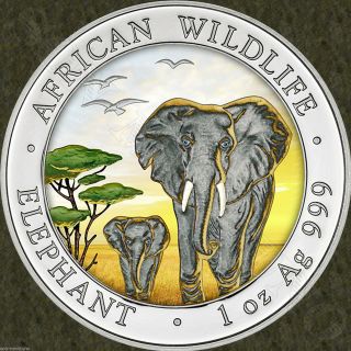 2015 Somalian Elephant " Day " Colorized African Wildlife 1oz Silver Coin Mtg=5000