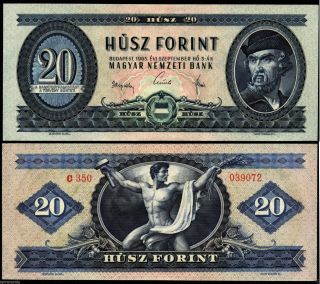 Hungary 20 Forint 1965 Banknote P 169.  D Ungarn Magyar Unc