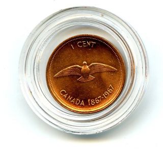 1867 - 1967 Canada Bu Cent Dove Centennial Copper Penny Comes In Plastic Capsule