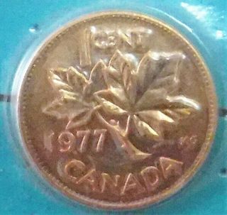 Uncirculated 1977 Canadian 1 Cent