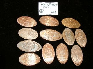 12 Rainforest Cafe Themed Elongated Coin Rolled Pressed Smashed Pennies (213)
