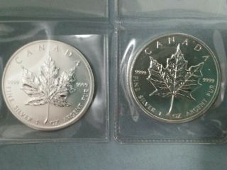 2 2013 Canada 1 Ounce Silver Maple Leaf Coins BU Canadian one ounce 3