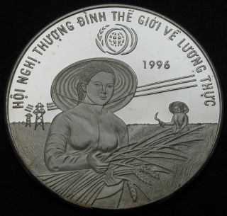 Viet Nam 100 Dong 1996 (h) Proof - Silver - World Food Summit - 1192