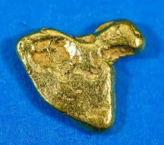 54 Alaskan Bc Natural Gold Nugget.  80 Grams