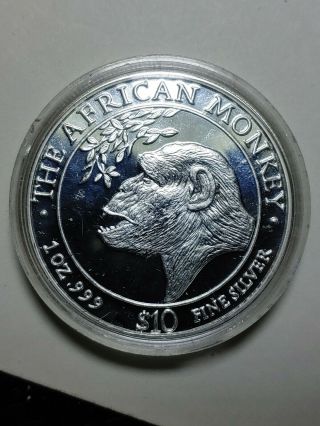 1998 Somalia $10 Monkey Silver Prooflike Coin In Capsule