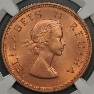 1953 Ngc Ms66,  Rd South Africa Penny