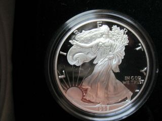 1995 Silver American Eagle Proof.  Box,  Case And