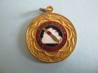 Alma A.  S.  C.  Swimming Club Broken Hill Enamel Gold Gilt Medallion 29mm K.  G.  Luke