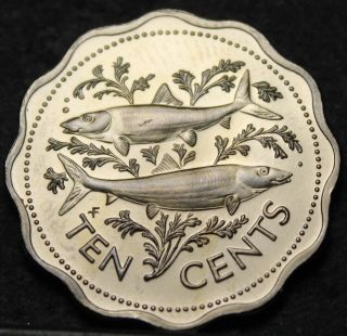 Bahamas 10 Cents,  1974 Gem Unc Bone Fish Scalloped Coin Rare 23k Minted Fr/ship