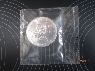 1998 Canada Silver Maple Leaf 1 oz.  9999 Silver Cellophane 2