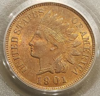 ☆1901 Indian Head Penny Cent,  Pcgs Ms 64 Rd☆