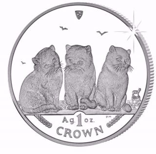 2006 Isle Of Man Exotic Shorthair Cat Coin 1 Oz Silver Proof &