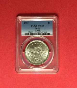 Egypt - Silver 1981,  1 Pound,  (f.  A.  O),  Certified By Pcgs Ms - 65.