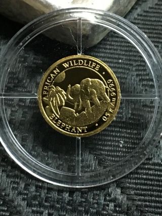 2017 Somalia Gold Elephant - 1/2 Gram 24k Coin In Capsule African Wildlife.  9999