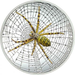 Cook Islands 2016 5$ Magnificent Life Spider Silver 999 1oz Silver Coin