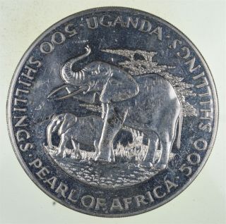 SILVER - WORLD Coin - 1981 Uganda 500 Shilling - World Silver Coin - 135.  3g 280 2