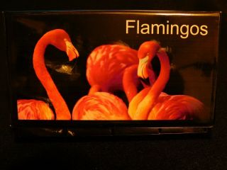 Elongated Pressed Penny Souvenir Album Book.  Flamingos