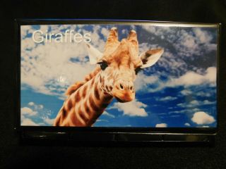 Elongated Pressed Penny Souvenir Album Book.  Giraffes