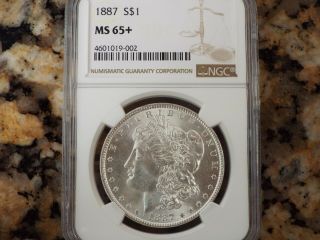 $200 Value 1887 - P Morgan Silver Dollar,  Ngc Ms - 65,
