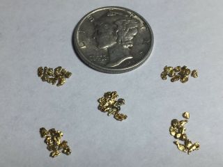 50 Quality Alaskan Natural Placer Gold Nuggets 16k To 21k 18 To 16 Mesh