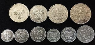 Poland Set 10 Coins 1 2 5 10 20 50 Groszy 10 20 50 100 Zloty 1981 - 1990 Unc