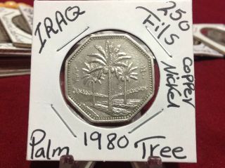 Iraq 250 Fils,  1980,  Palm Tree,  Saddam Hussein Era.  العراق