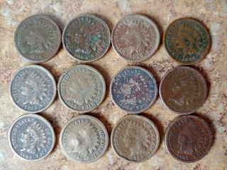 One Dozen Cull / Ag Copper Nickel Indian Cents 1859,  1862,  1863 1864