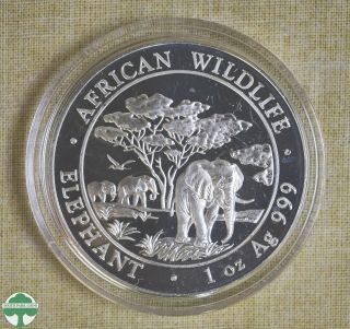 2012 Somalia 100 Shillings Silver Coin - Elephant - Fineness: 999 - 1 Oz Silver