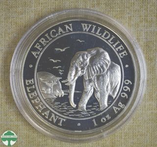 2010 Somalia 100 Shillings Silver Coin - Elephant - Fineness: 999 - 1 Oz Silver