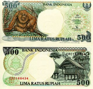 Indonesia 500 Rupiah Banknote World Paper Money Currency Pick P128d Orang Utang