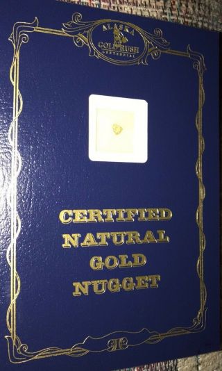 Gold Nugget Alaska Natural Certified Gold Nugget Chicken & Trapper Mines Rare