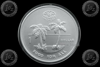 Solomon Islands 1 Dollar 1995 (fao - F.  A.  O. ) Silver Commemorative Coin Unc