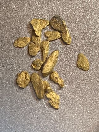Lovely Group 0.  569 Gram Gold Nuggets Collectors Specimens Colorado