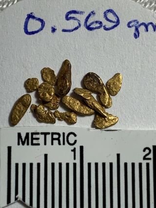 LOVELY GROUP 0.  569 GRAM GOLD NUGGETS COLLECTORS SPECIMENS COLORADO 2