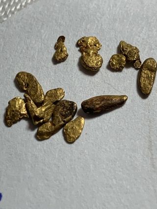 LOVELY GROUP 0.  569 GRAM GOLD NUGGETS COLLECTORS SPECIMENS COLORADO 4