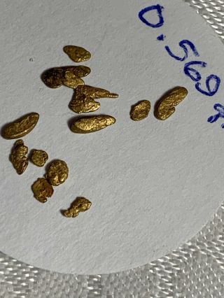 LOVELY GROUP 0.  569 GRAM GOLD NUGGETS COLLECTORS SPECIMENS COLORADO 5