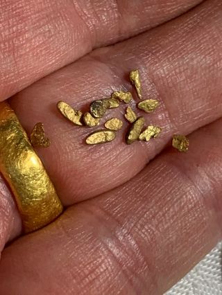 LOVELY GROUP 0.  569 GRAM GOLD NUGGETS COLLECTORS SPECIMENS COLORADO 7